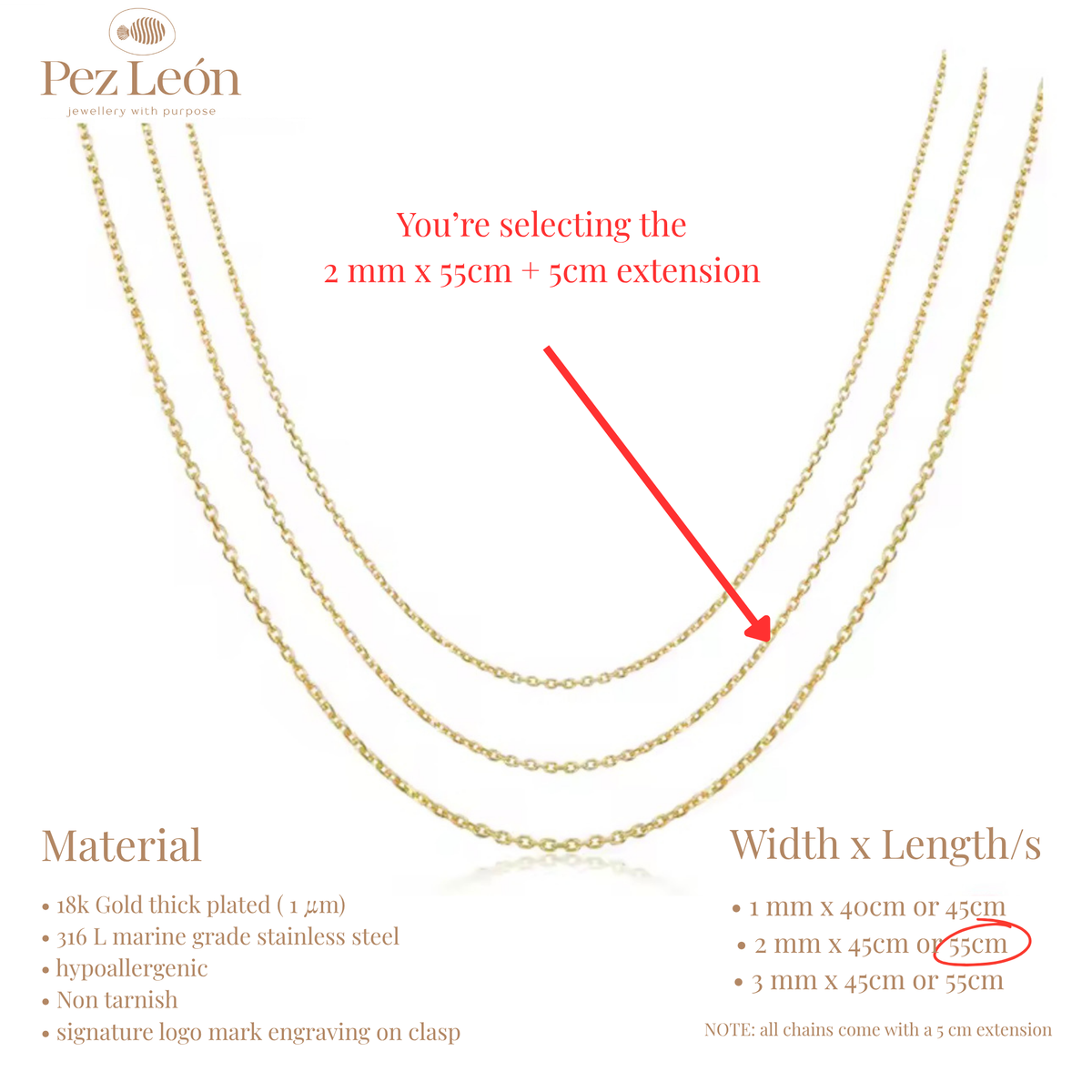 Signature Anchor Cable Chain - Gold / 2mm / 55cm