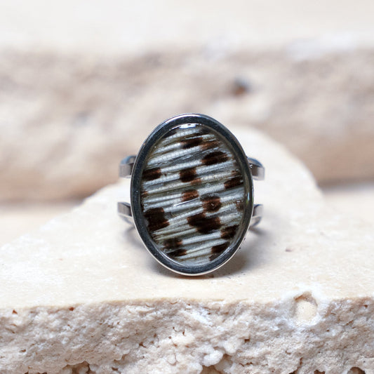 Impact Ring — Stainless Steel Oval