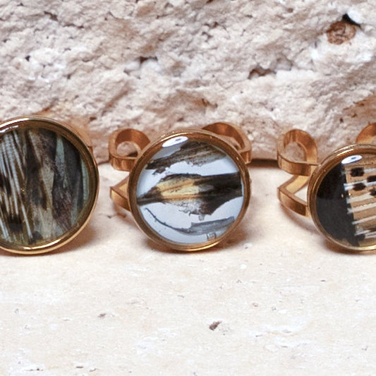 Composition Ring — Gold Circle, 14mm